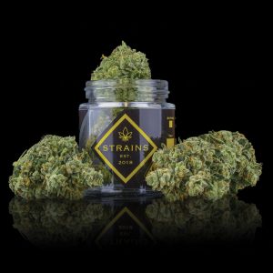 Super Glue Strain - Strains Dispensary Perris, CA
