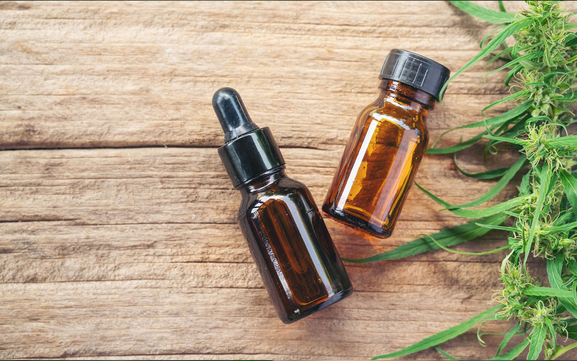 Cannabis Tinctures Explained