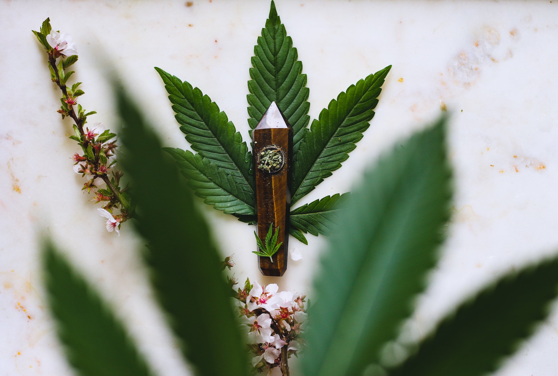 Cannabis Forms