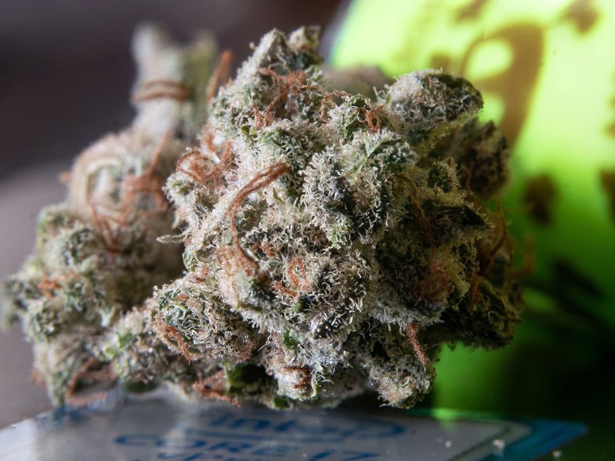 How to Rehydrate Your Cannabis