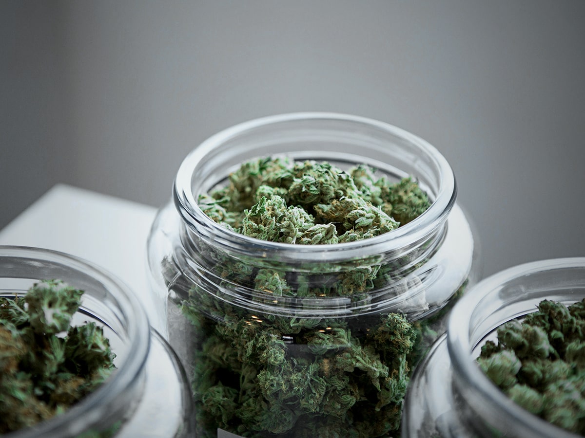 Fresh Cannabis Storage