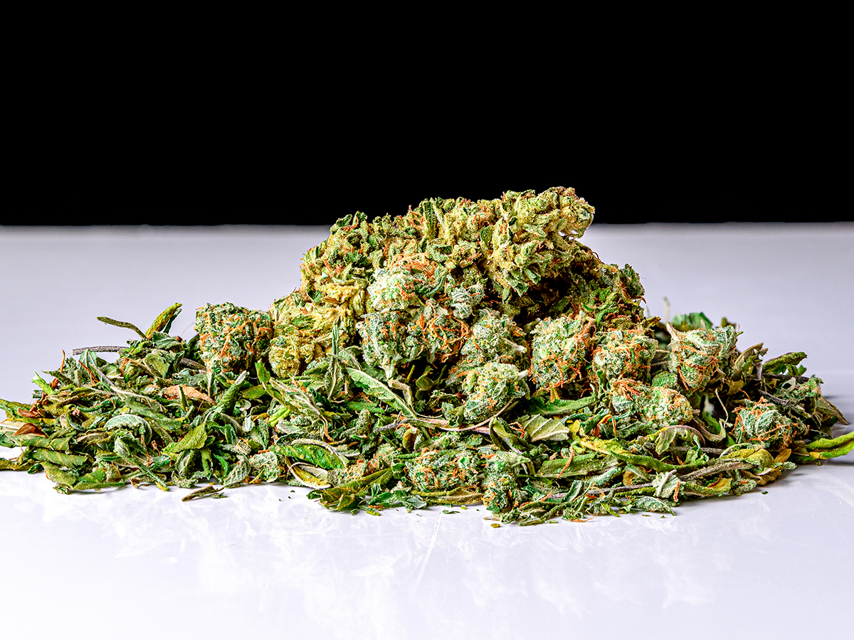 Cannabis Shake
