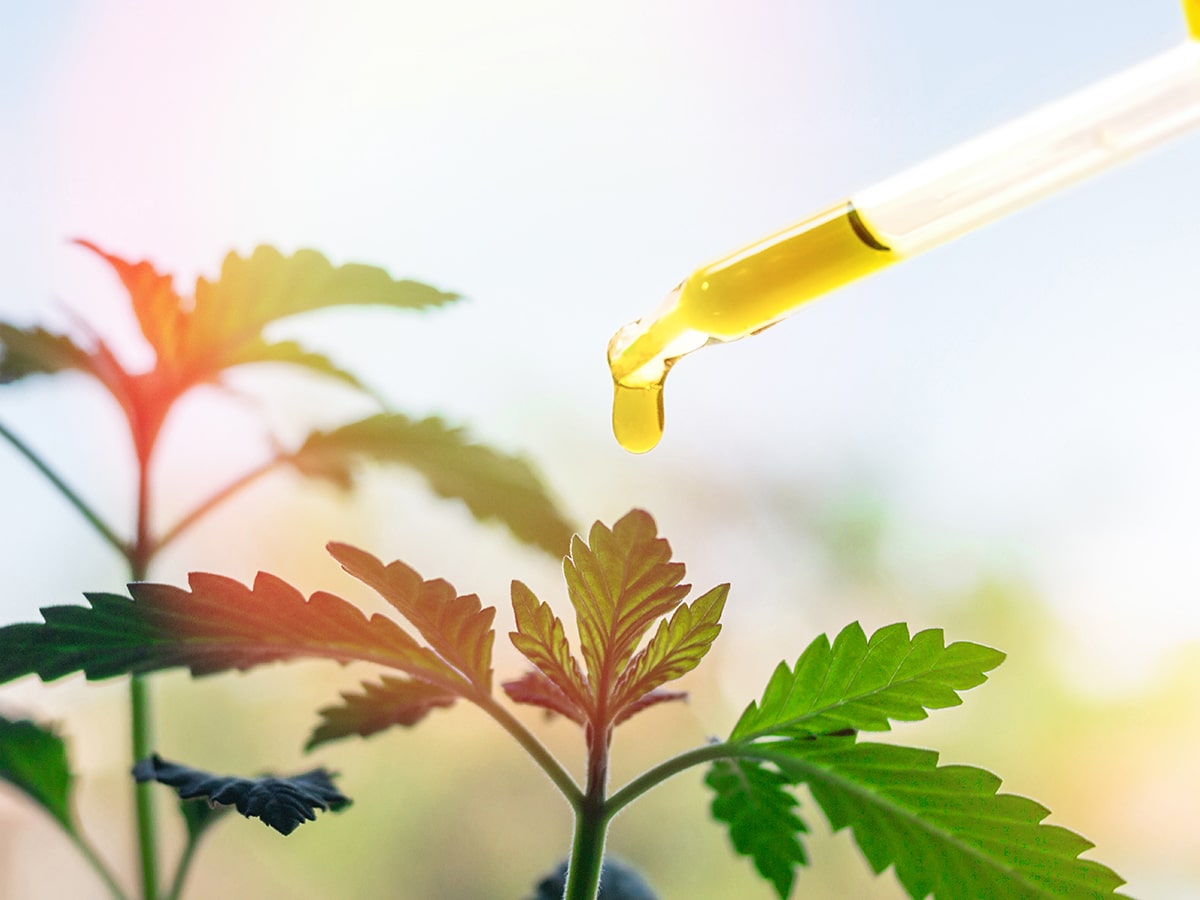 THC Edible Oil Drops