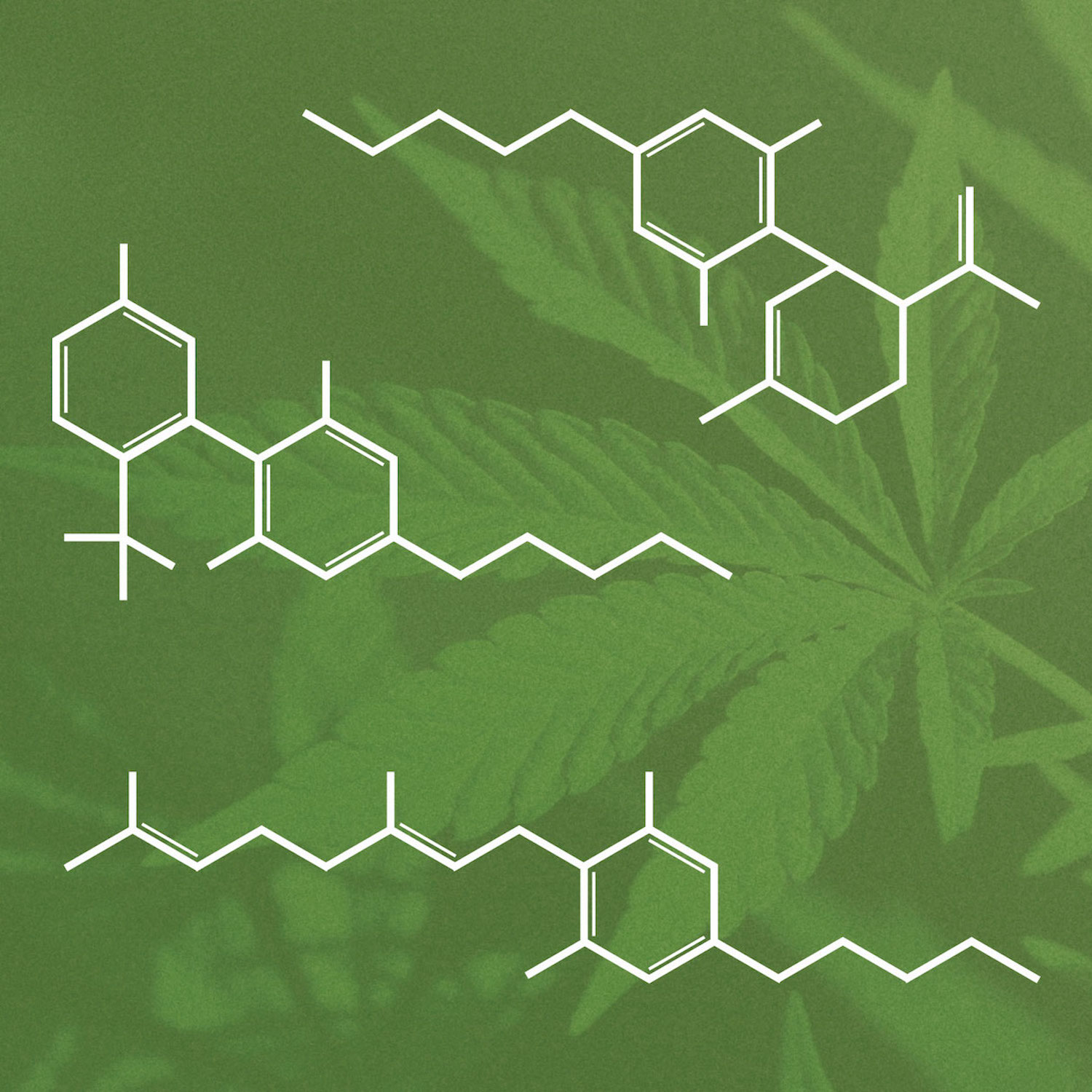Cannabis print