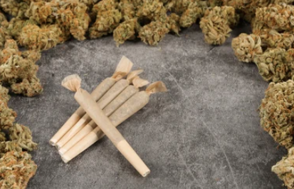 pre-rolled-joints