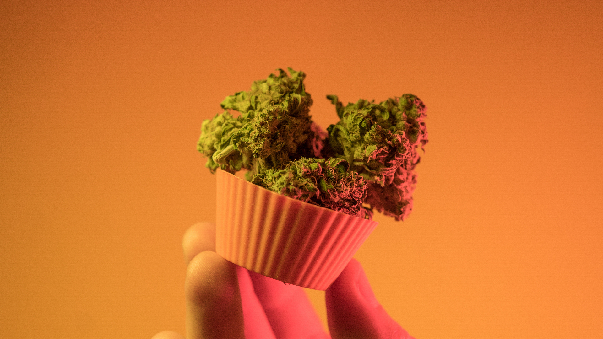 Someone holding up weed in a cupcake liner